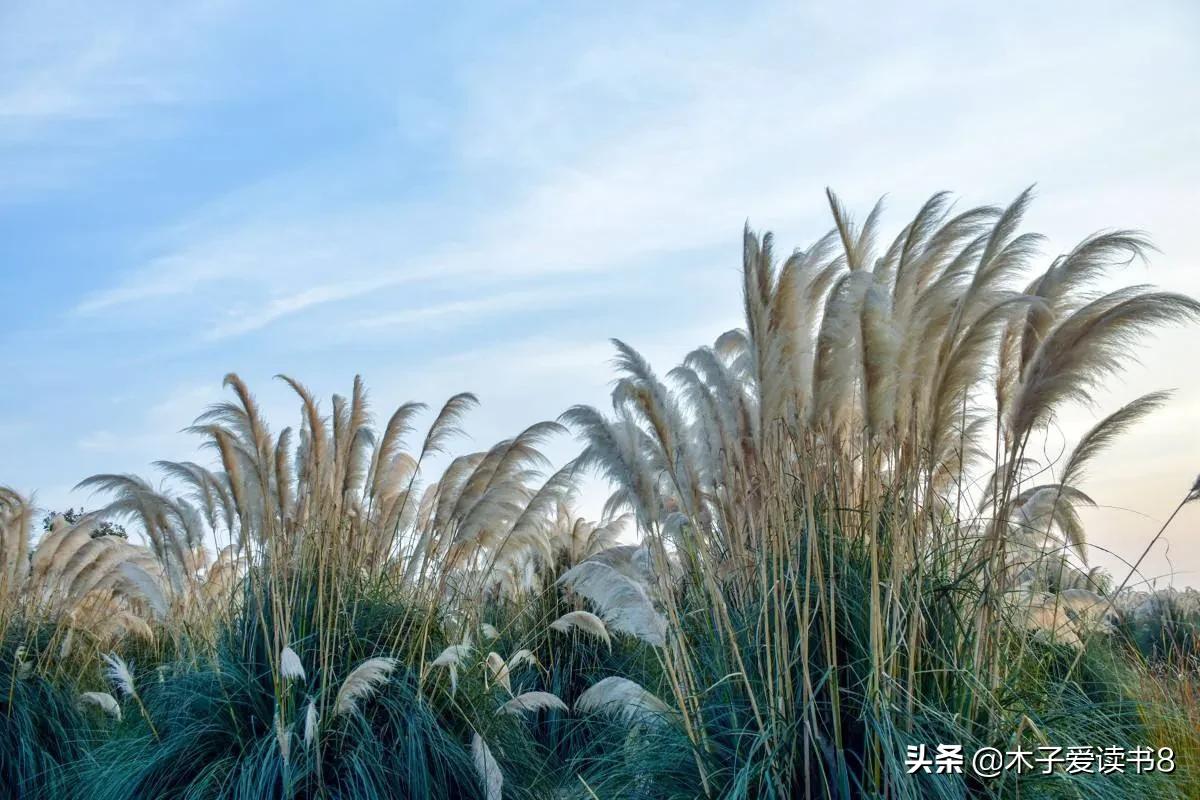 四年级下册第六单元的知识整理,四年级语文上册第六单元小结