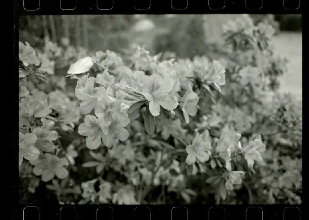 玩转器械,第一次玩胶片摄影