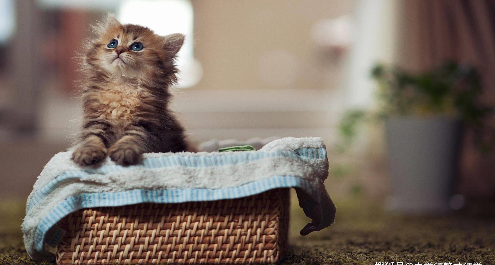 十足惊呆!老公出人意料的举动!