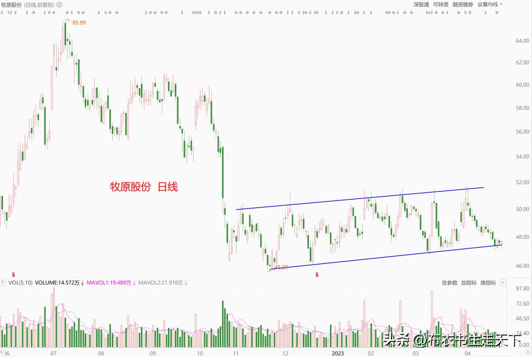 解读不一样的女人,不一样的解读是什么