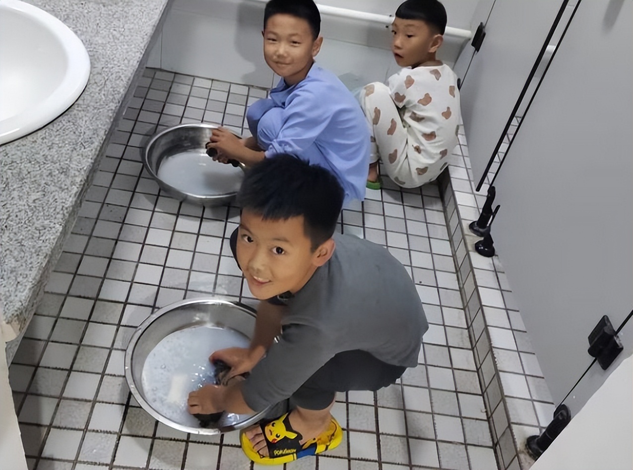 潍坊新纪元小学学校靠谱吗,潍坊新纪元学校教学怎么样