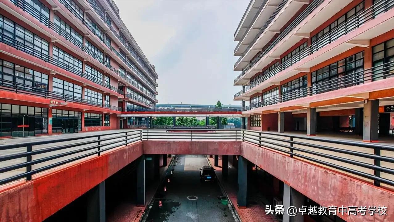 艺考生有哪些重点大学可以考,广东湛江艺术学校有什么专业