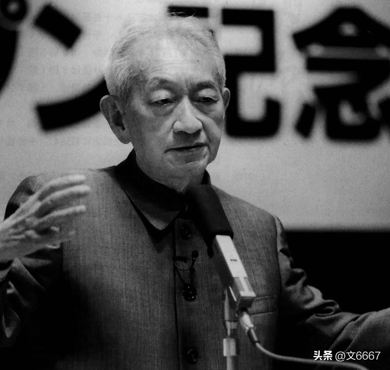 围棋黑白分天地,围棋与黑白世界