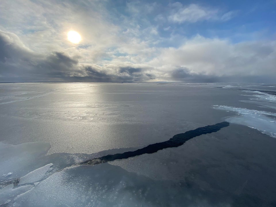 海洋巨蟒真实照片大全,海洋巨蟒真实图片大全