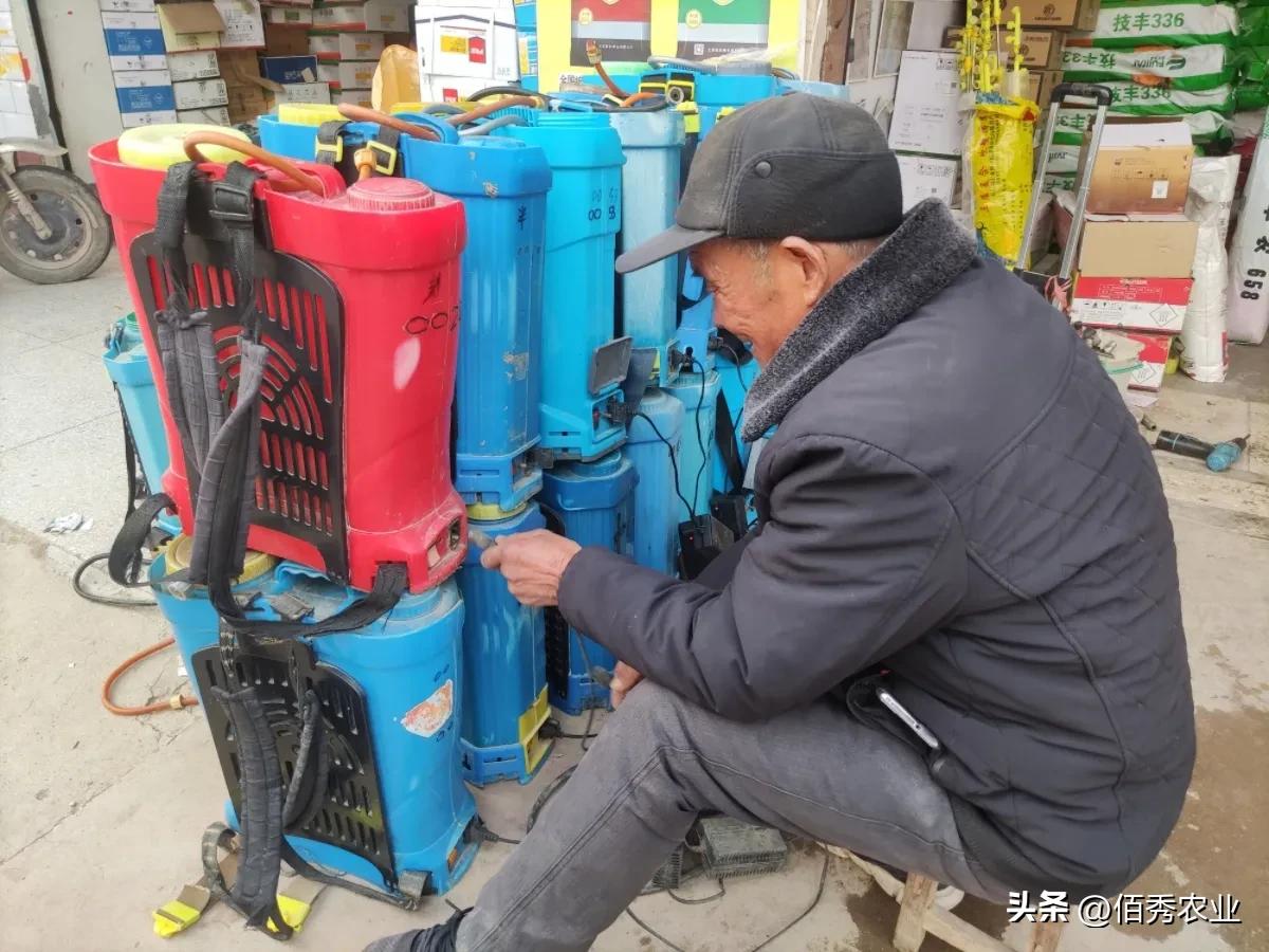 鍐滆嵂浠锋牸鏆磋穼,鍐滆嵂浠锋牸鎸佺画涓嬭穼