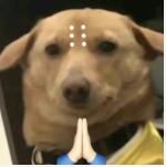 突发!以后不能去英国留学了?英国正限制国际学生入境