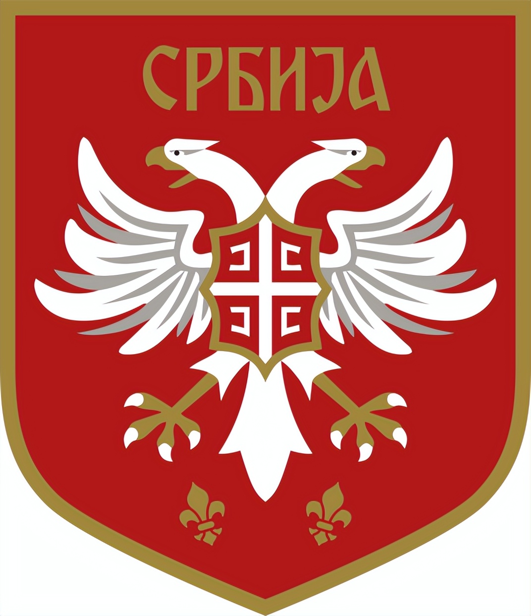 卡塔尔世界杯巴西喀麦隆,卡塔尔世界杯喀麦隆3比3塞尔维亚