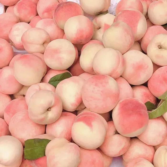 让人忍不住评论的文案搞笑,让人忍不住评论的文案短句