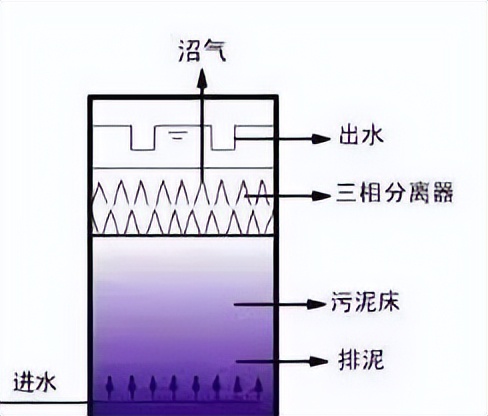 厌氧生物反应器内部图,uasb厌氧反应器原理