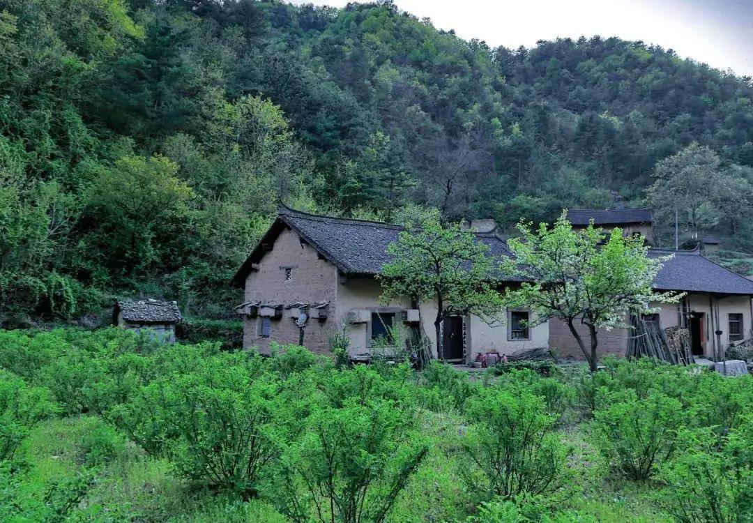 故乡秋韵散文,故乡的秋散文