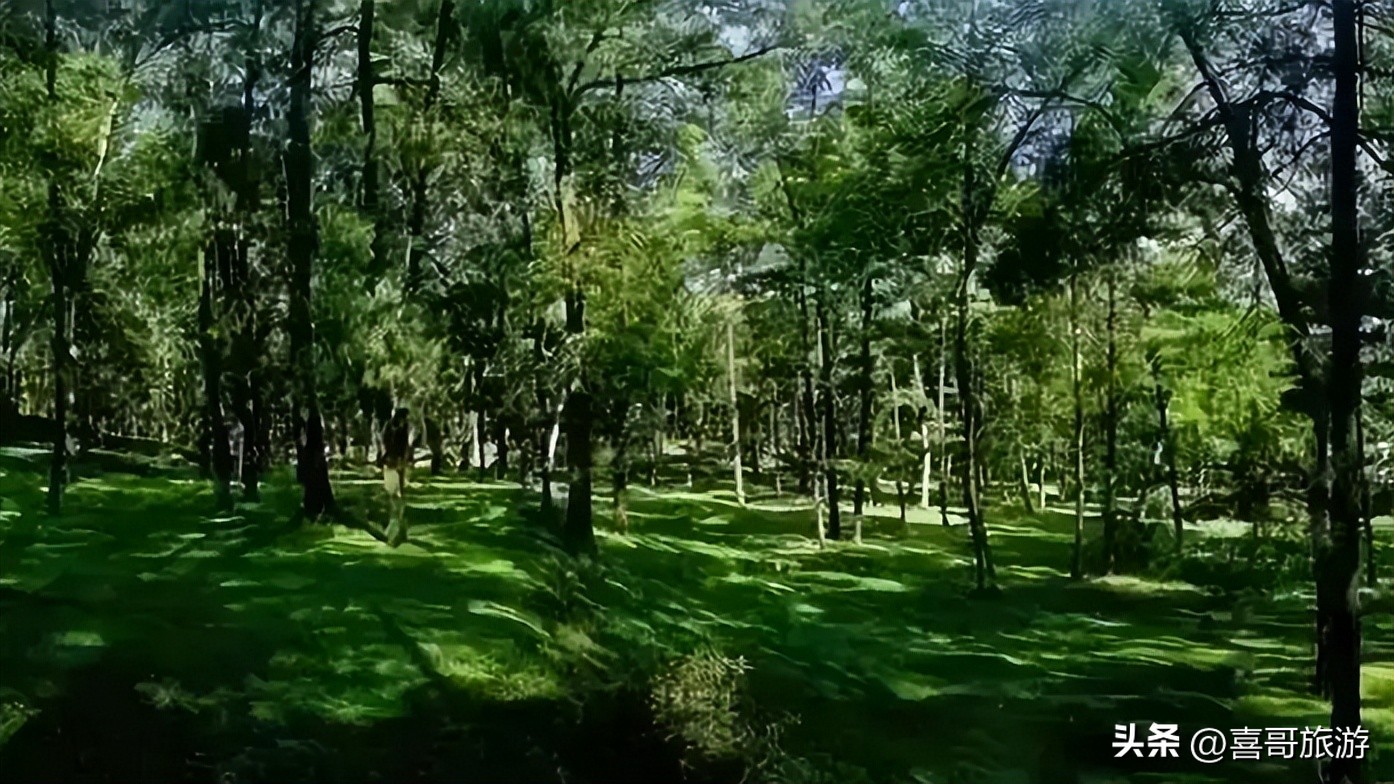 修文县附近哪里适合自驾游玩,贵阳修文哪里适合自驾游