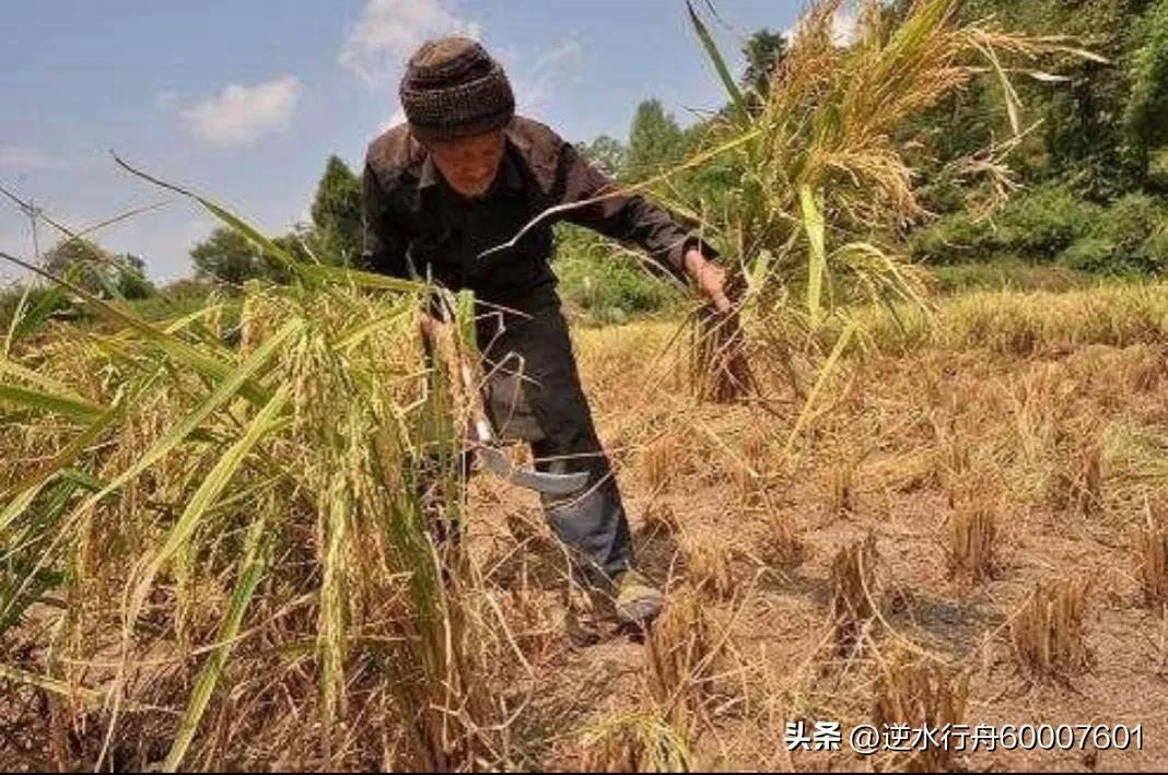 鍖瑰か鏈夎矗涓哄浗鑰屾垬鏃犵濂夌尞,淇濆鍗浗鍖瑰か鏈夎矗