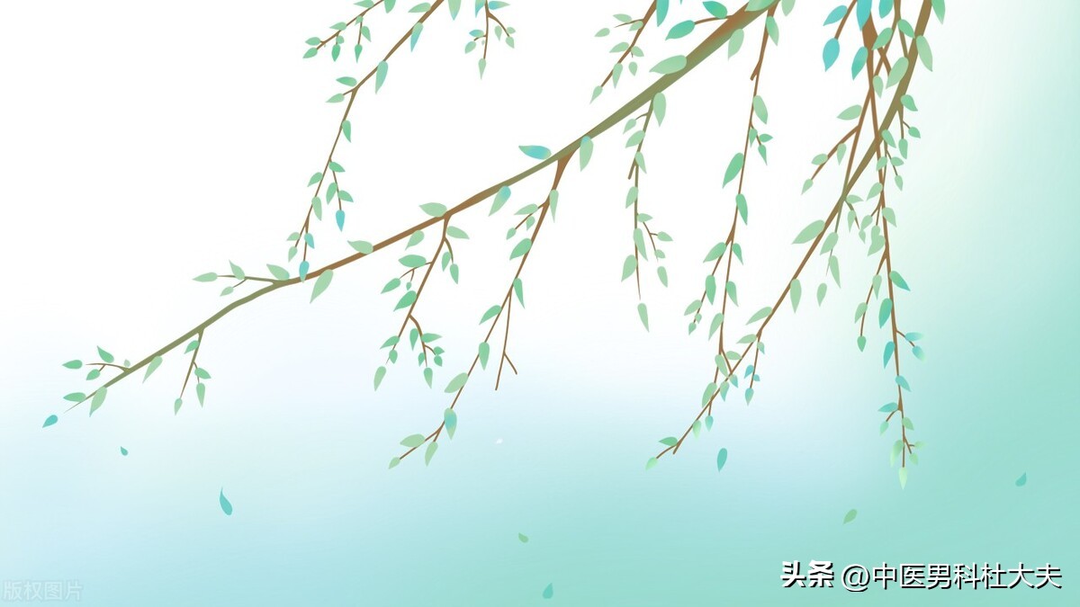 治前列腺炎为什么首先要调理脾胃,中药调理前列腺炎的思路