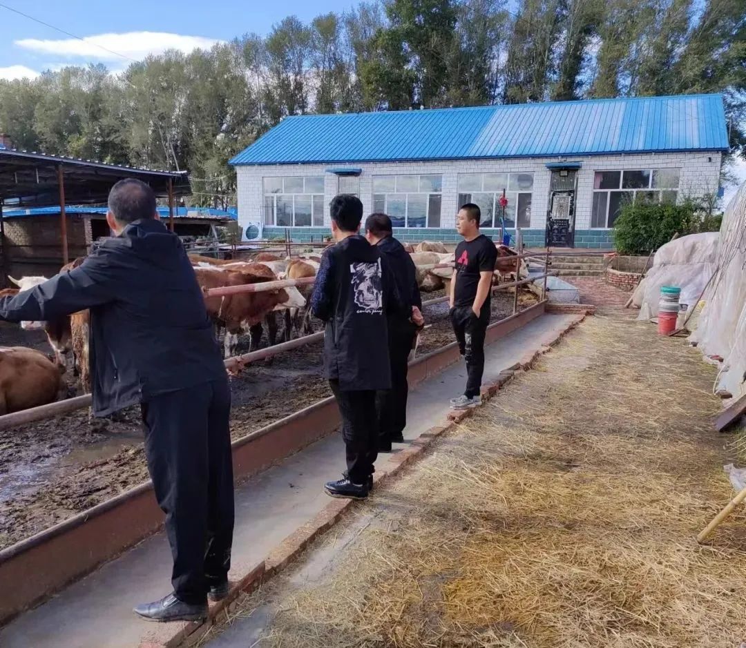 乡村振兴领头雁王传喜,乡村振兴致富带头人新闻报道