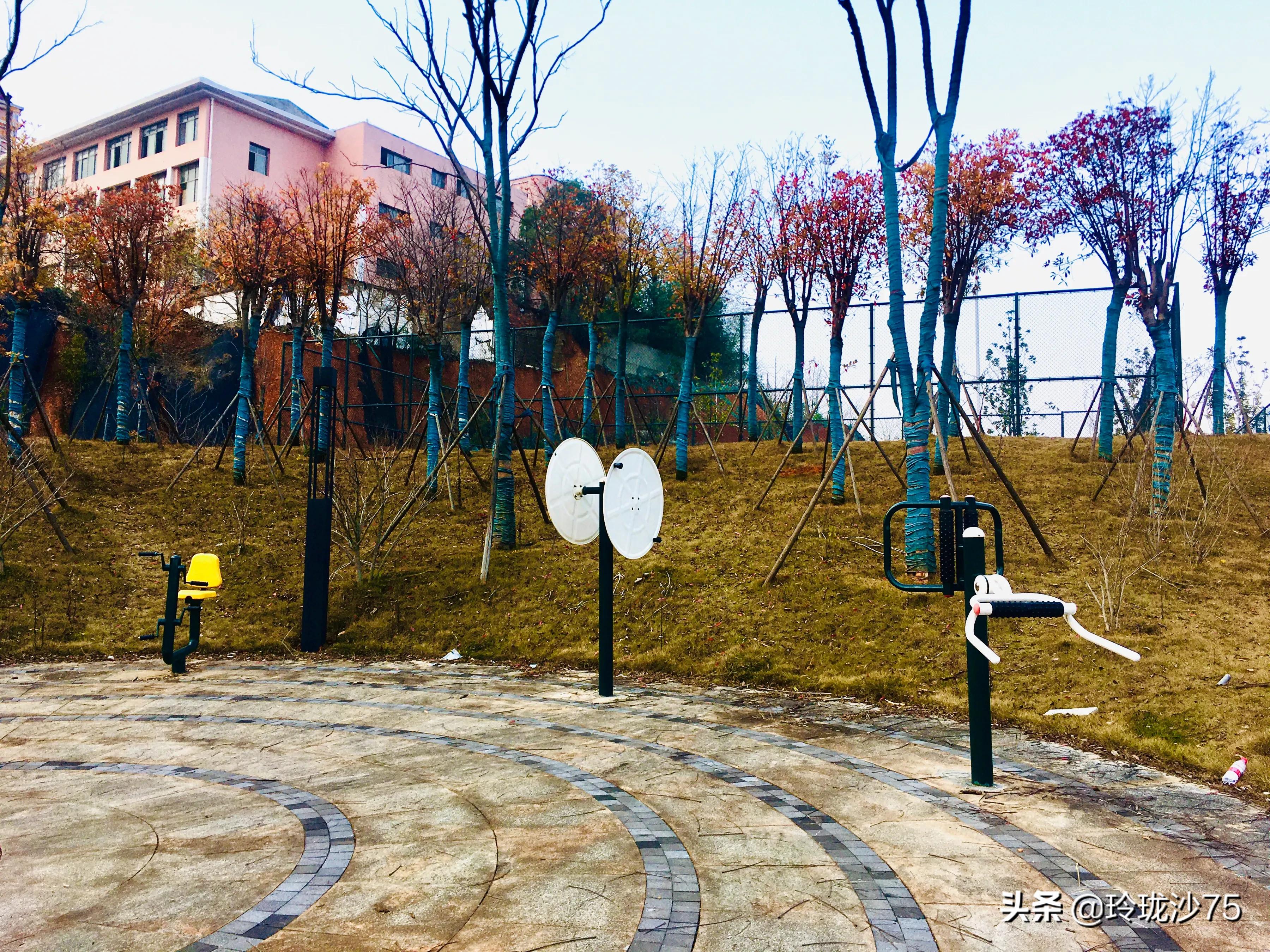 长沙风景美丽的篮球场,长沙王陵公园生态足球场