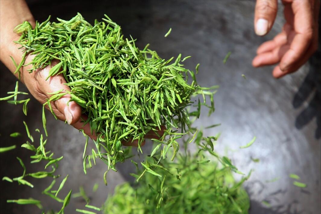 茶叶被黑得最惨的一次,紧急提醒这种茶叶有毒千万别碰