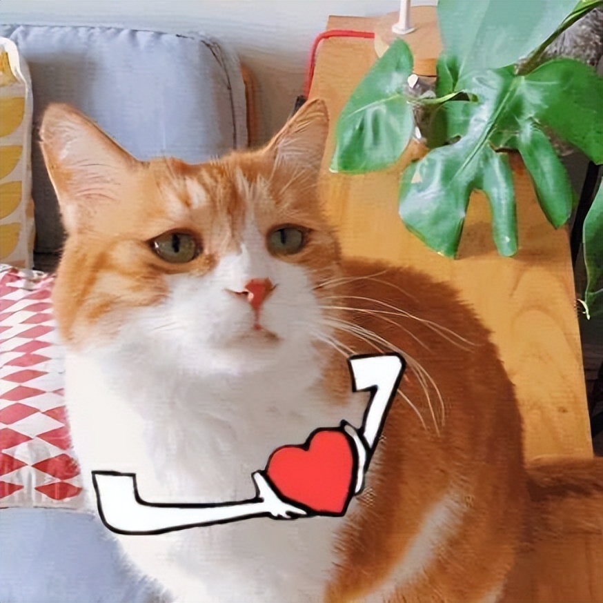 为什么女生啪啪到一半总想上厕所