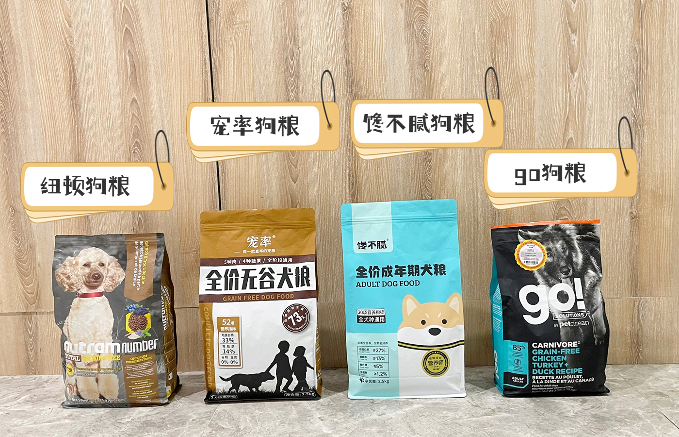 建议穷人养的10种狗爱干净,公认好养的6种狗特别适合新手