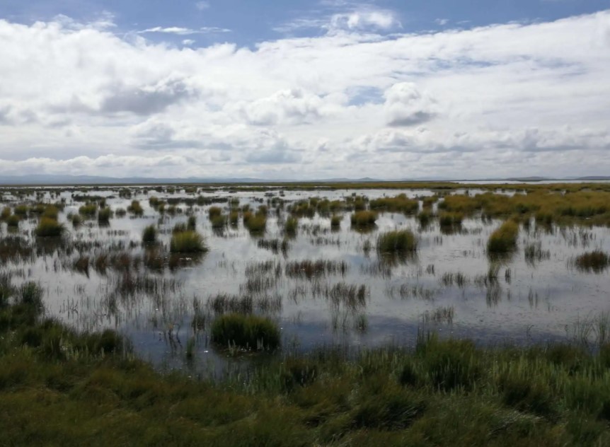 当年红军过草地怎么过的,以前红军吃草根