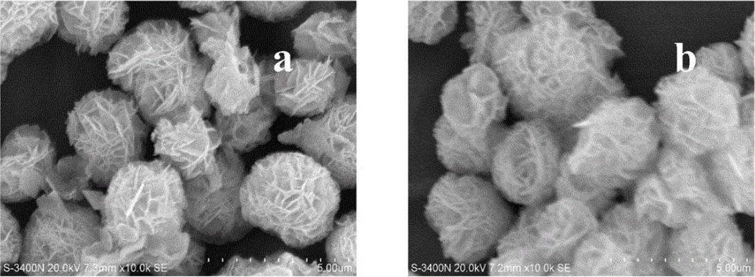 PW12/Bi2WO6制备及光催化性能的研究，其光催化性能有何特点？