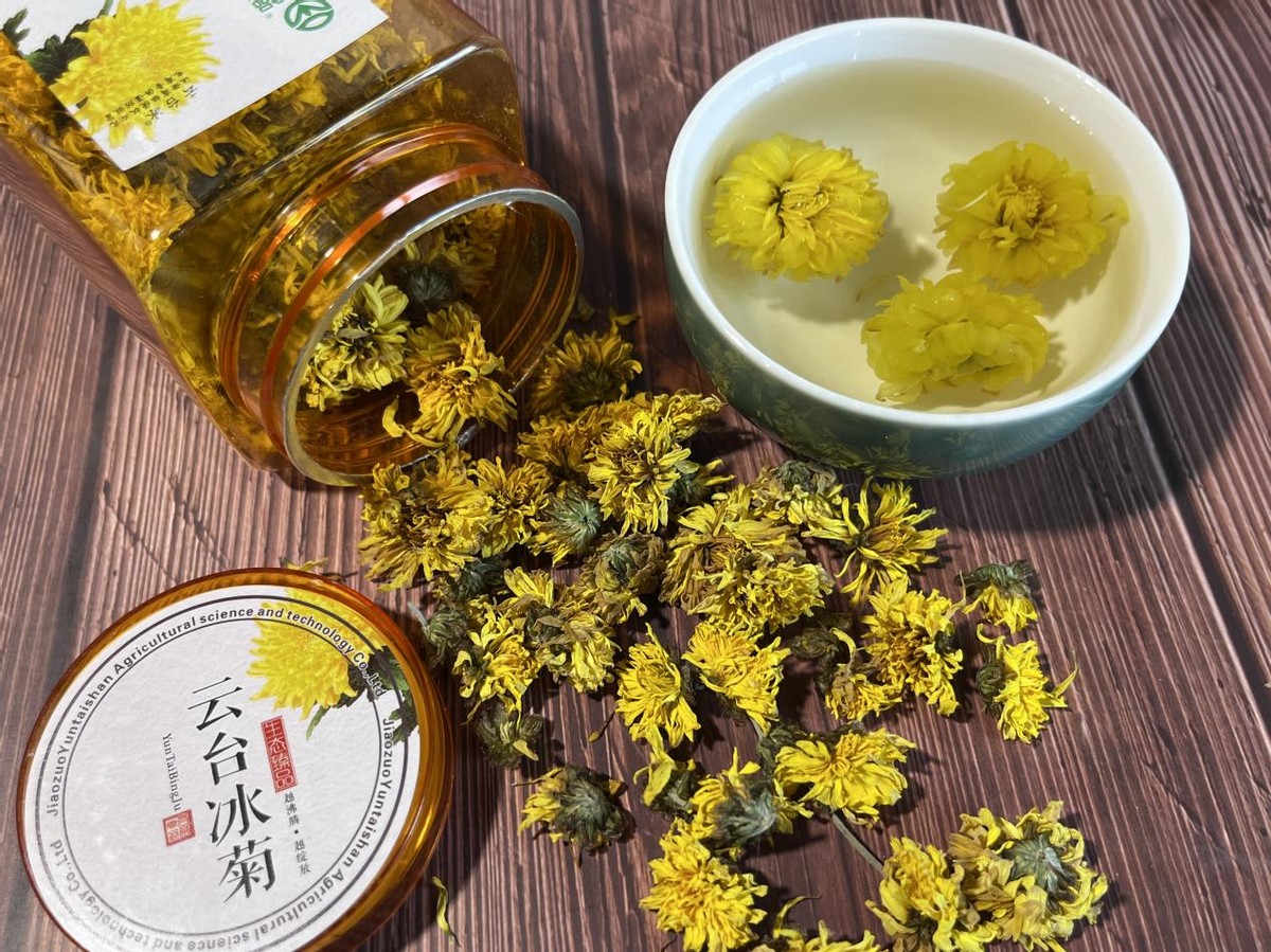 菊花买哪一种菊花比较好,4种菊花你选哪一种