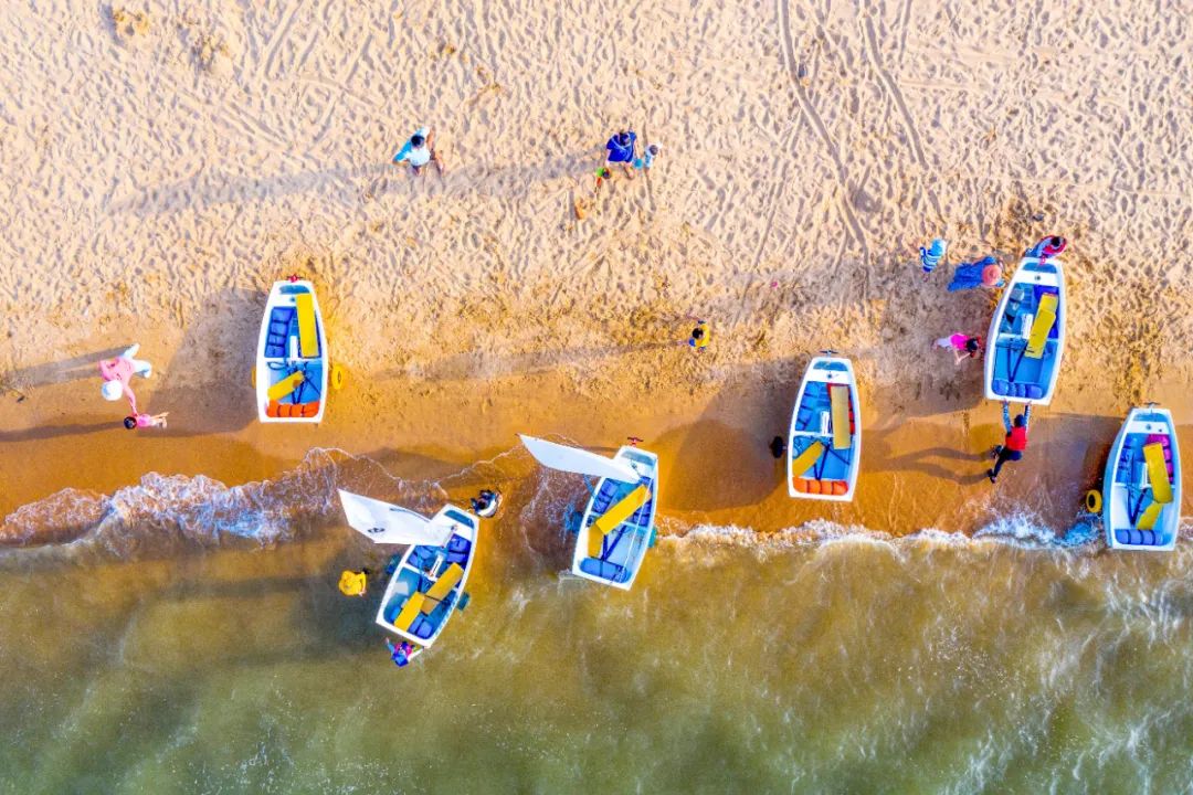来自香港的他们发出邀约！共享海口机遇与活力！