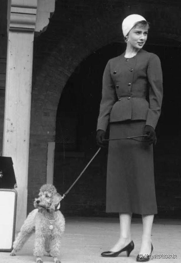 冬天最温暖的羊绒,冬季温暖羊绒