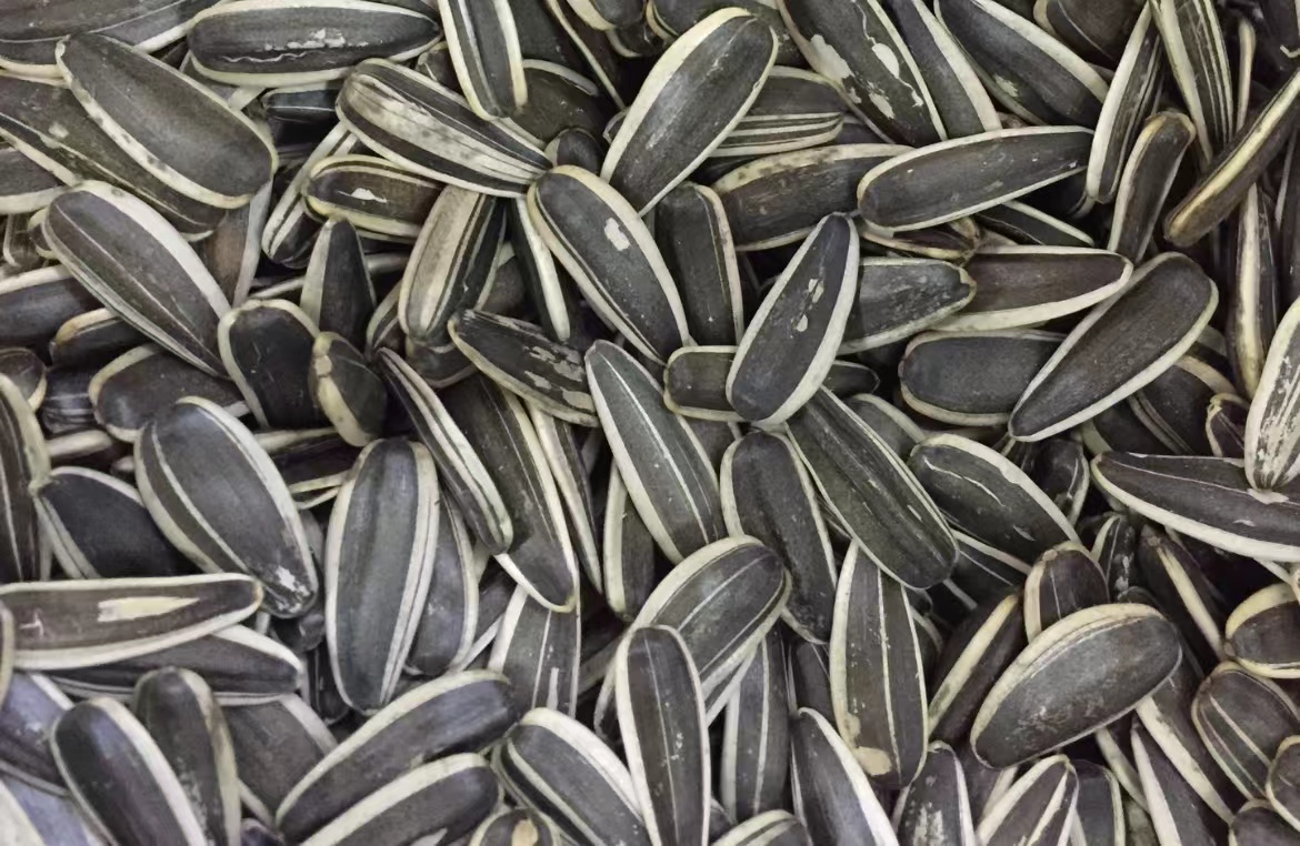 北京炒货栗子,北京炒货零食店铺