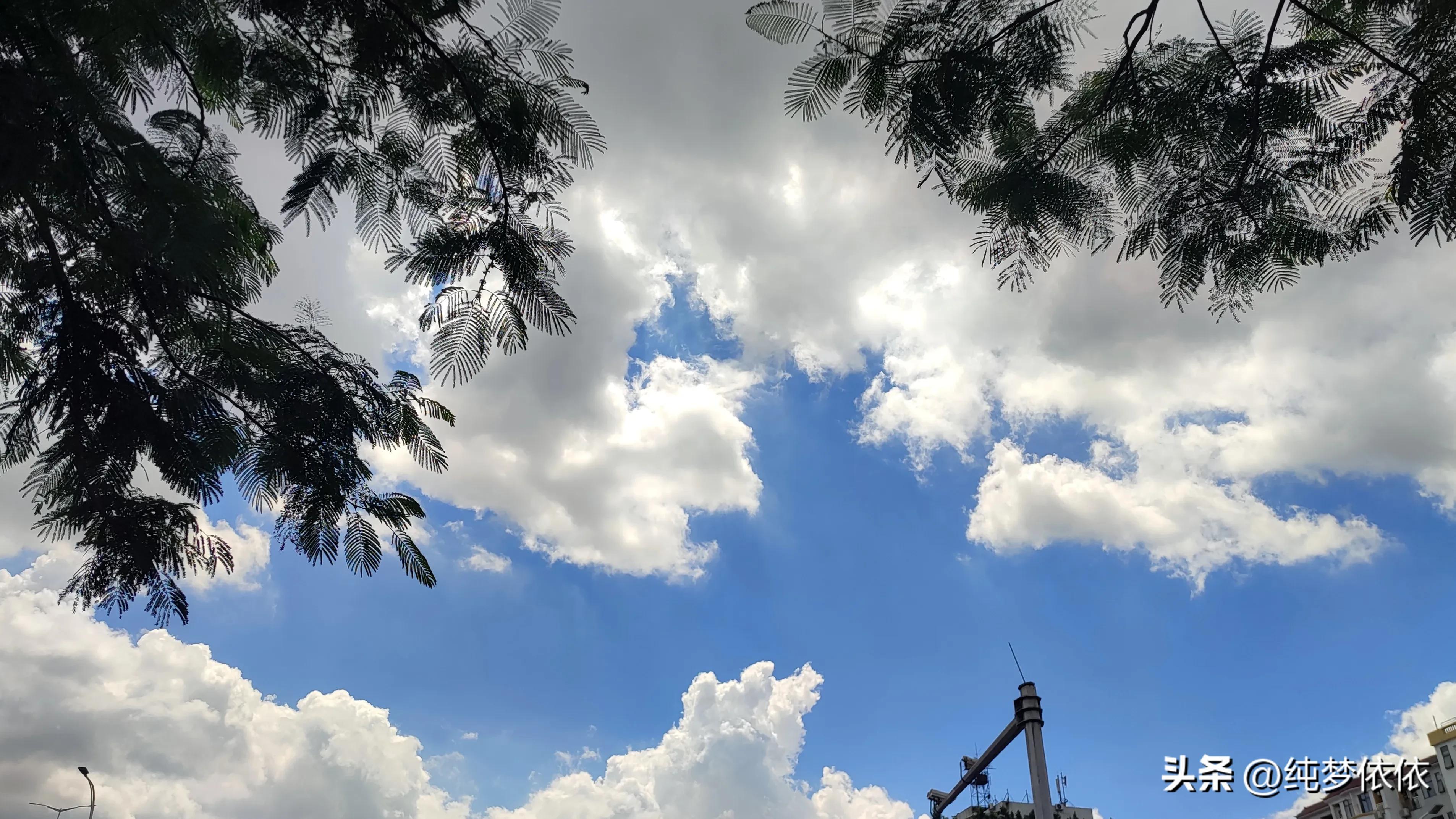 夏天随手一拍就是最好的画面,这张照片勾起了夏天的美好时光