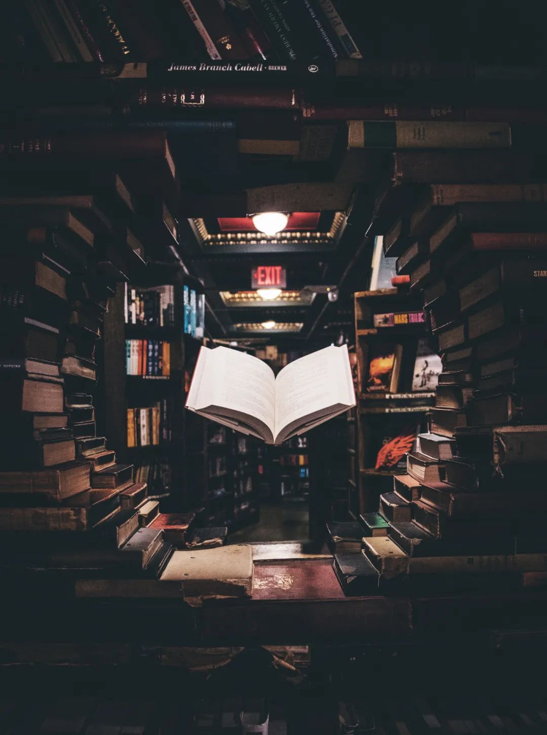 拼多多正版文学书籍,外文双语书拼多多