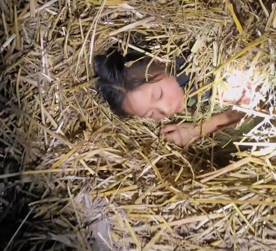 农村女孩徒手抓蛤蟆,农村抓蛤蟆姑娘