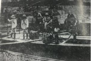 辛亥革命与梧州历史,辛亥革命时期的广西