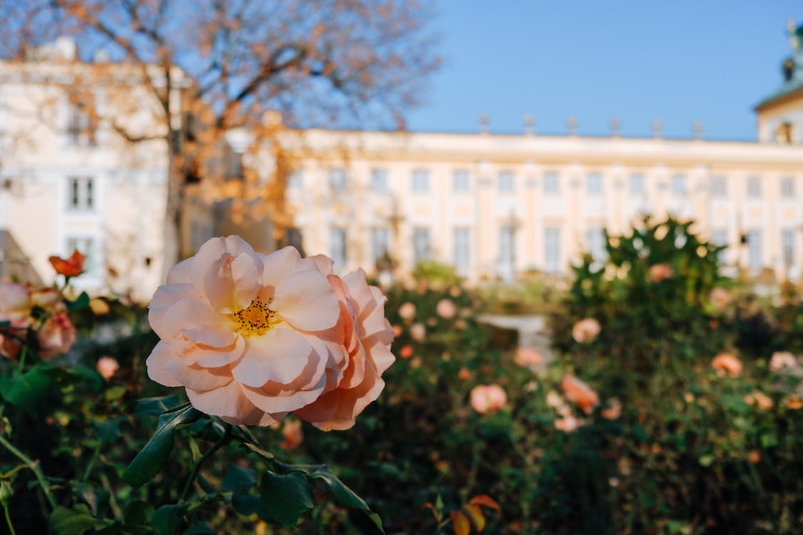 怎么搞定怕麻烦的男人,女人想要搞定优质男人用一个方法