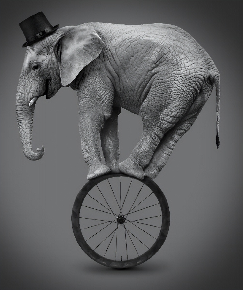 轻车身，大有料！来自米粉蔚来车主的推荐：集鹿碳纤维自行车