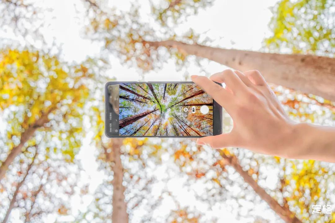 娲箹鍏洯娣卞湷,娲箹鍏洯鑽疯姳