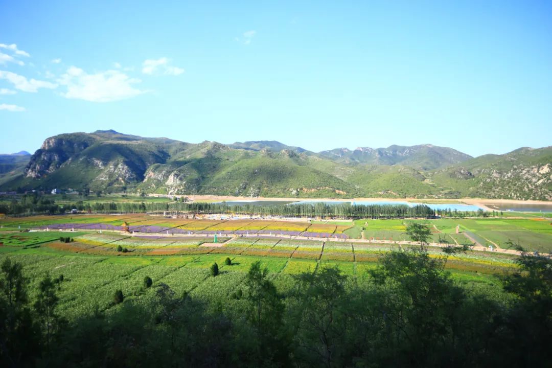 休闲农业与乡村旅游项目分析,休闲农业与乡村旅游什么时候开始