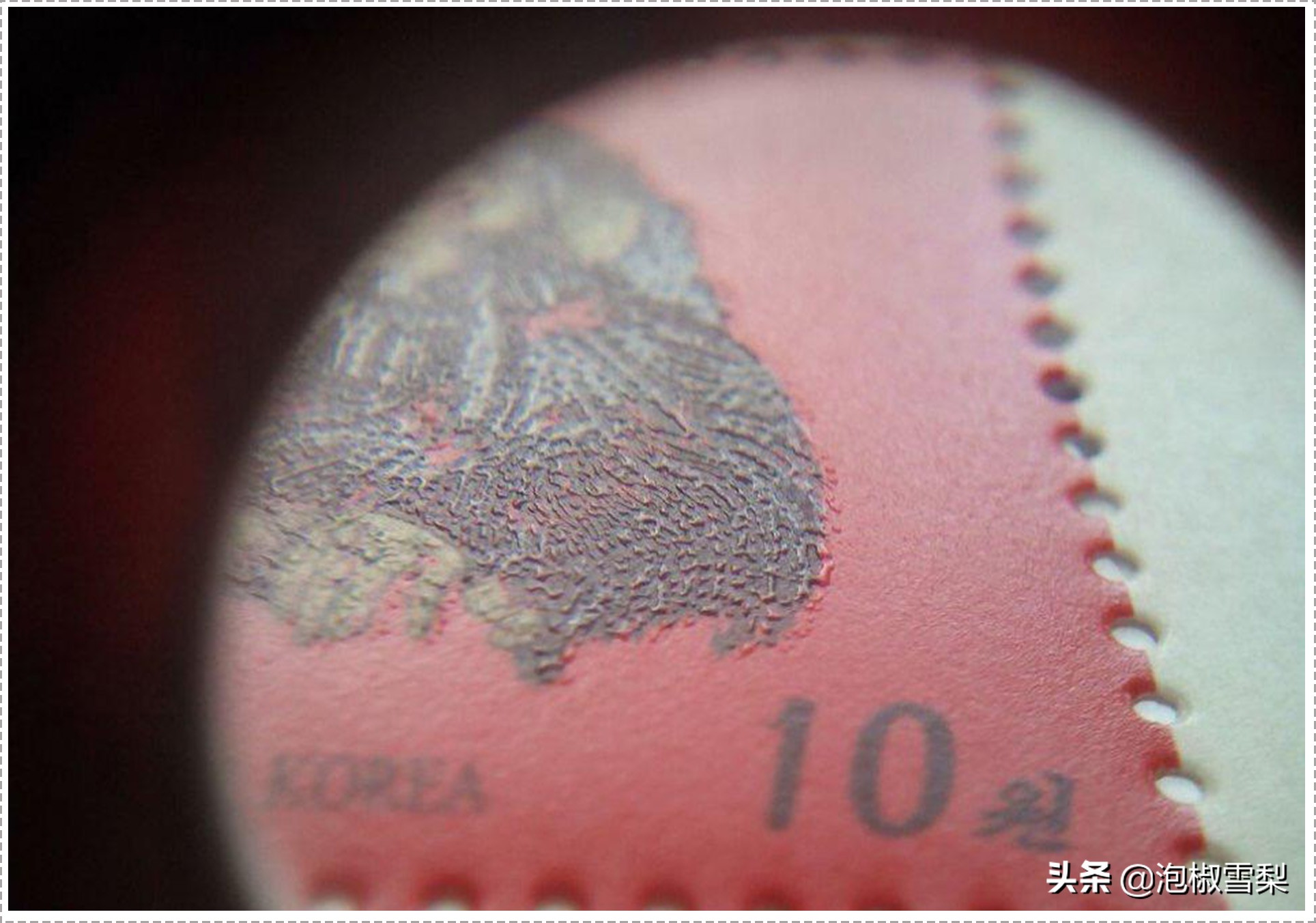 怎么识别1980年猴王邮票的真与假,2016猴邮票怎么看真假