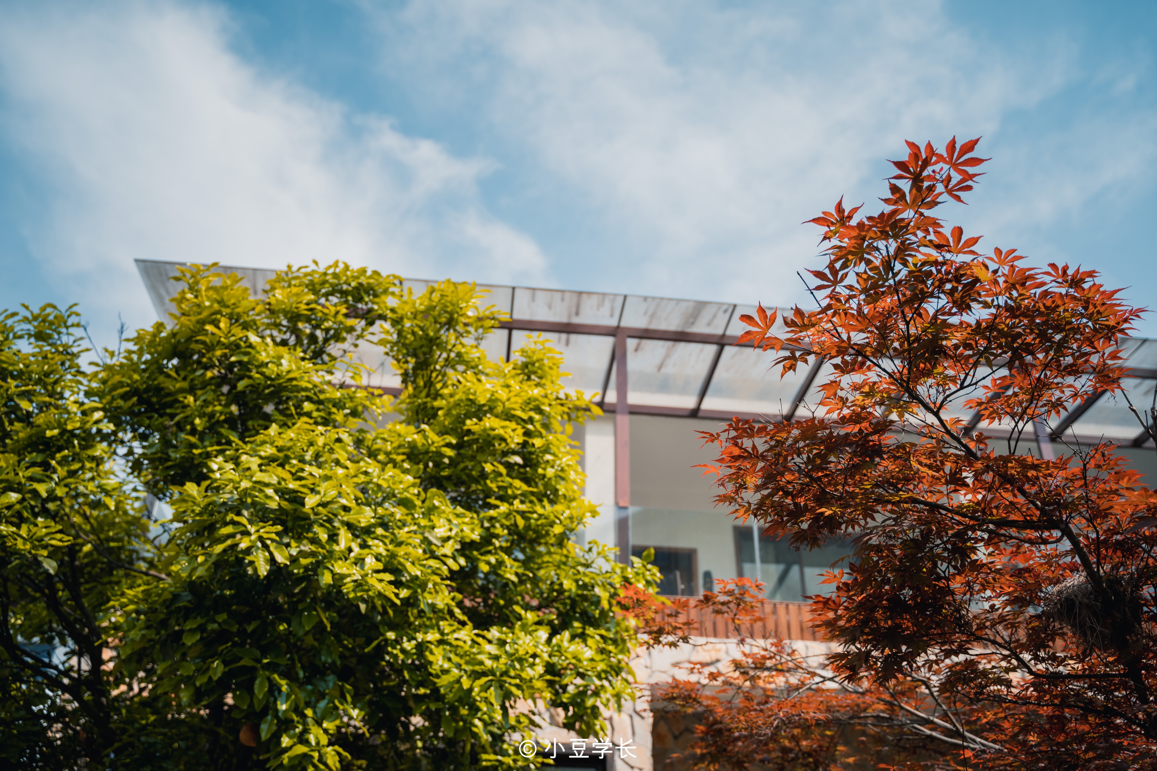 建德十大网红民宿,建德吃住行游娱一体特色民宿
