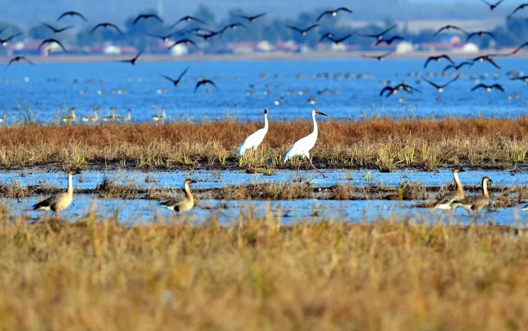 沈阳3天2夜游玩攻略,沈阳三日游攻略最新一期