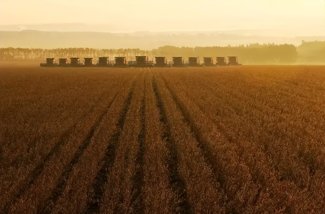 北大荒为什么要退耕还荒,北大荒退耕是什么时候