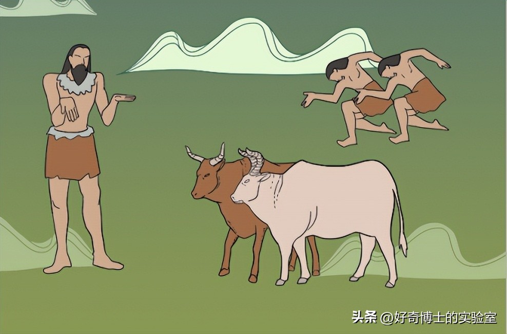 数字符号怎么由来的,数字符号是如何起源的