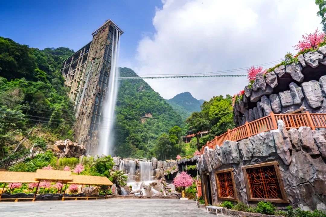 letsgo一周目攻略,letsgo图鉴攻略