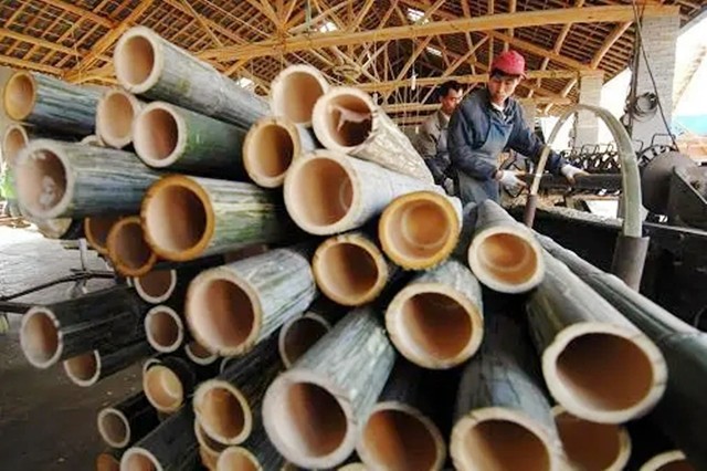 中国竹子建高铁车厢,竹子造高铁是真的吗