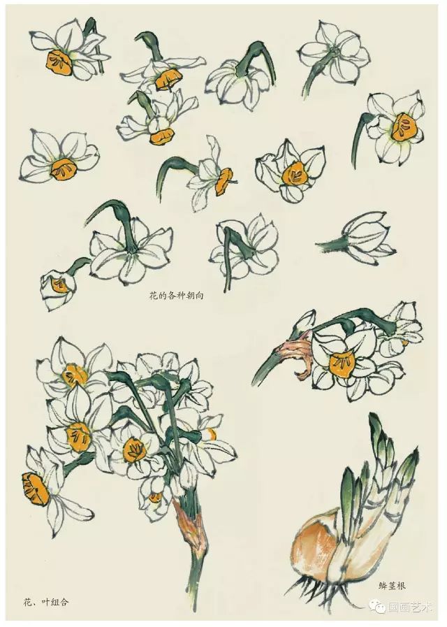 写意丁香花画法,写意鸡冠花的画法教程