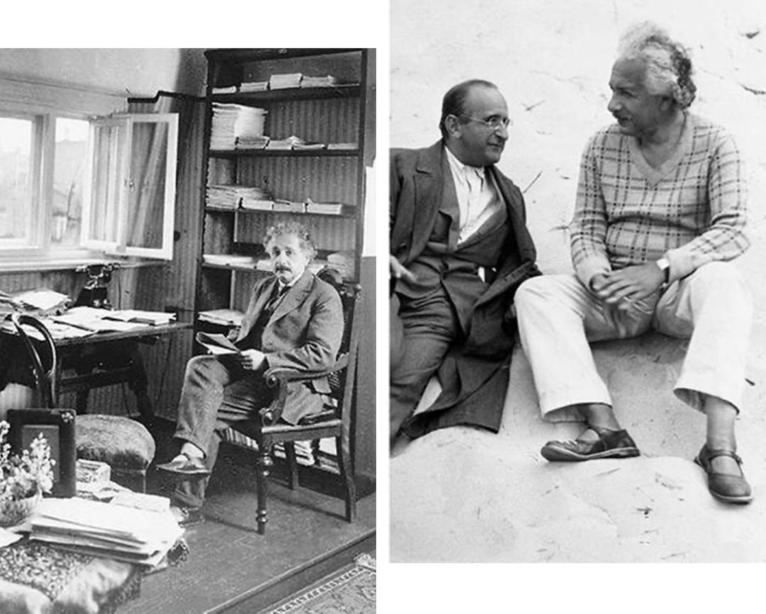 最近很火的大牌鞋子女,今年最时髦的女鞋百丽