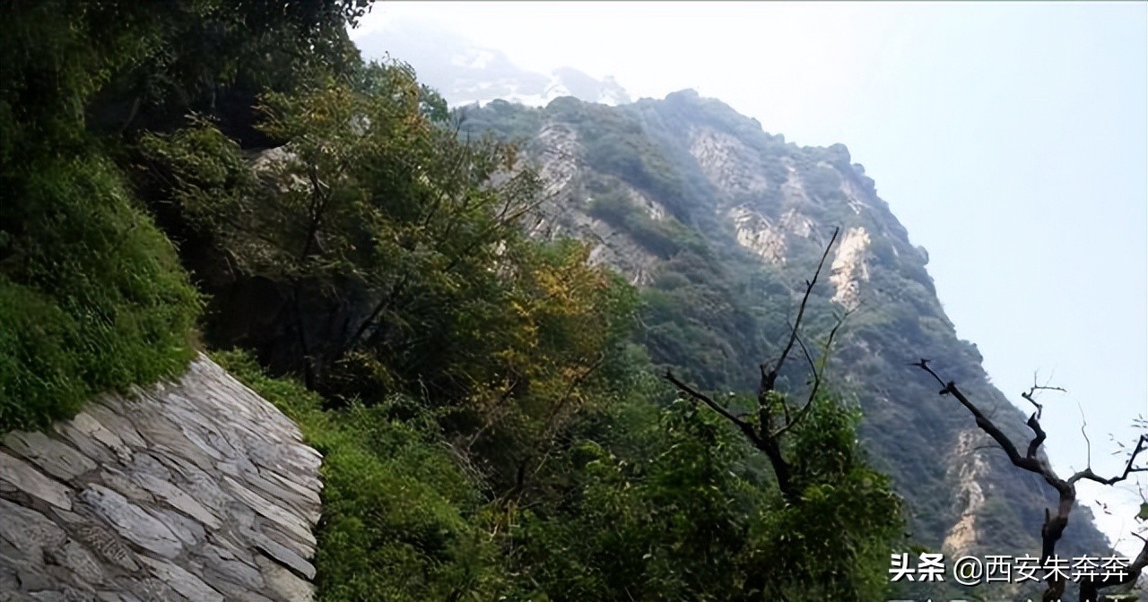 翠华山爬山攻略,翠华山爬山攻略一日游