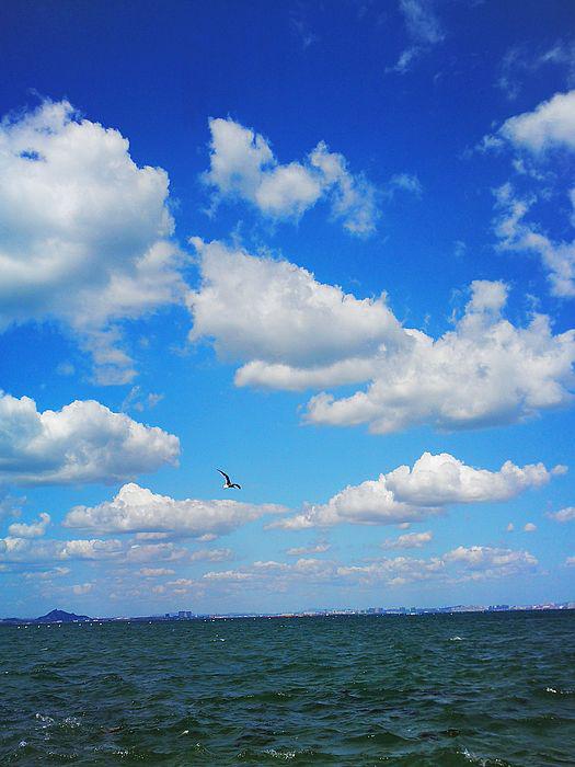 杰然不同创作的原声,杰然不同服饰直播