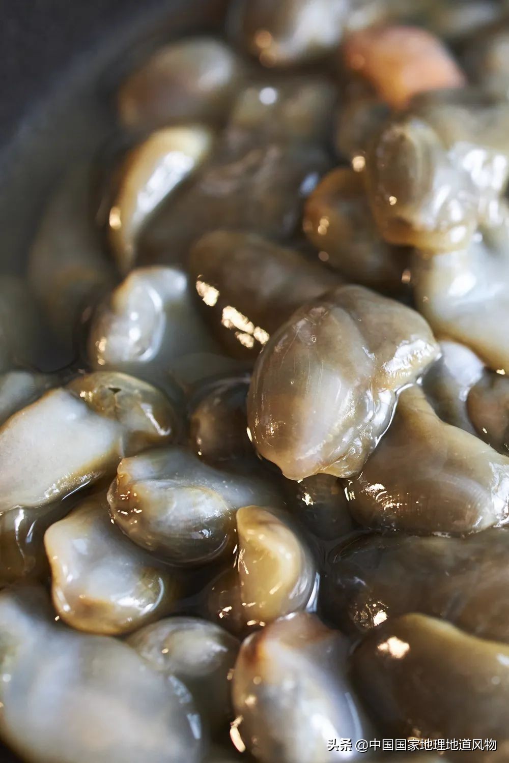 中国的罐头在哪里,中国罐头分布地区