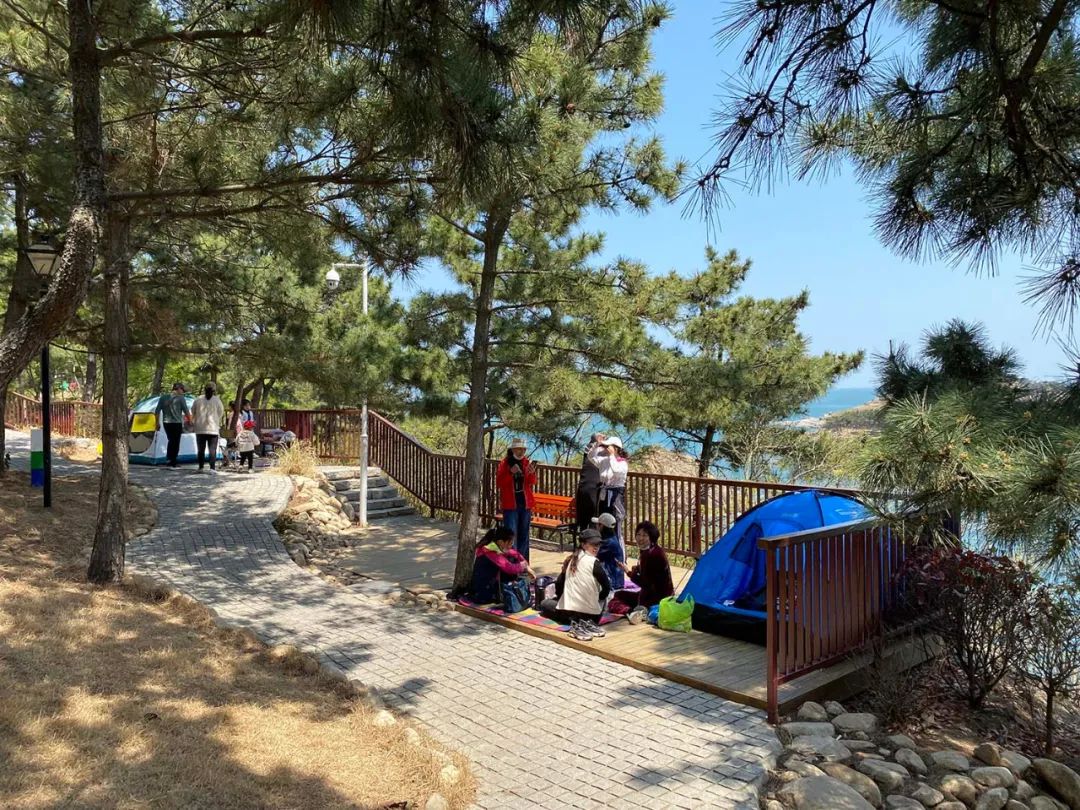 春天的第一场露营怎么策划,春天的第一场露营安排起来