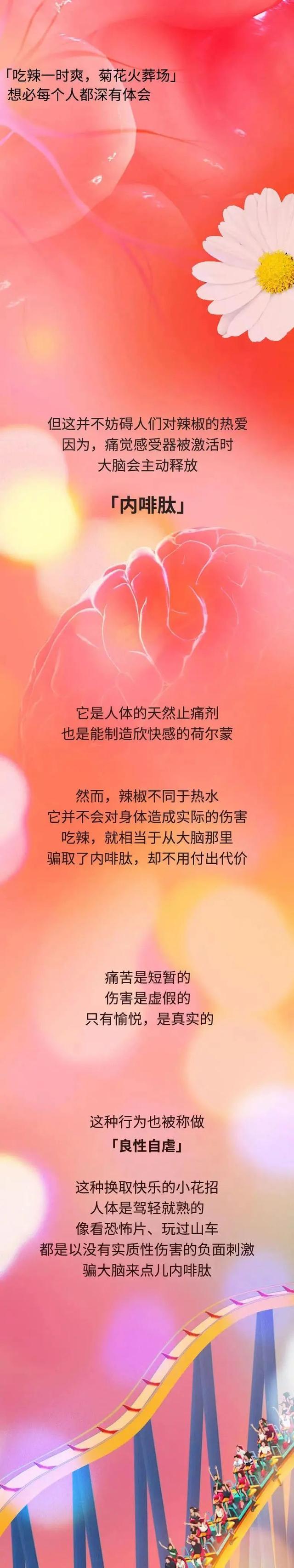 经常吃辣的人，身体会怎么样？漫画解析，爱吃辣的人来看看吧